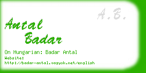 antal badar business card